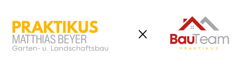 Praktikus Logo